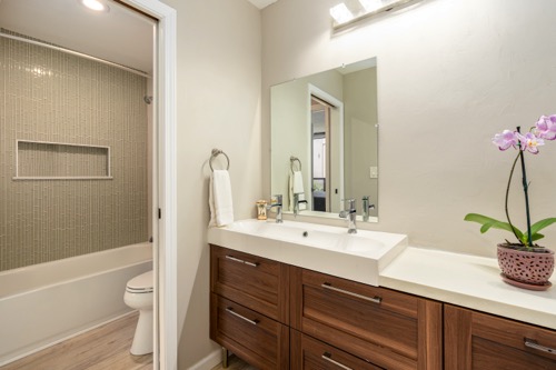 Guest bathroom